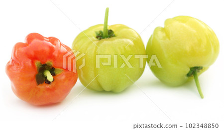 Cherry fruits 102348850
