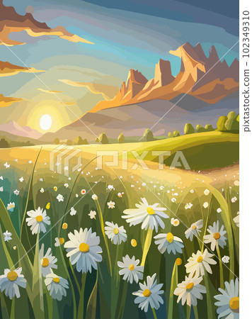 Spring landscape field white daisies blue sky and cloud in Sunny day, Panorama 102349310