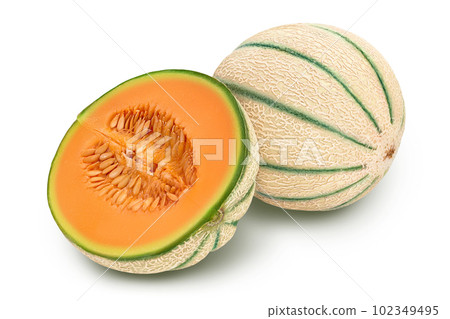 Cantaloupe melon isolated on white background with full depth of field, Cantaloupe melon isolated on white background with full depth of field, 102349495