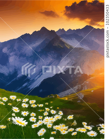 Beautiful blooming white daisies on background mountains and sunset sky Beautiful blooming white daisies on background mountains and sunset sky 102350433