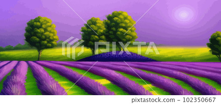 Horizon view lavender valley. Sunny day summer weather. Sunset Meadow Outdoor Horizon view lavender valley. Sunny day summer weather. Sunset Meadow Outdoor 102350667