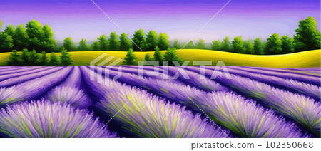 Horizon view lavender valley. Sunny day summer weather. Sunset Meadow Outdoor Horizon view lavender valley. Sunny day summer weather. Sunset Meadow Outdoor 102350668