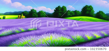 Horizon view lavender valley. Sunny day summer weather. Sunset Meadow Outdoor Horizon view lavender valley. Sunny day summer weather. Sunset Meadow Outdoor 102350670