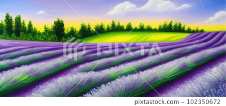 Horizon view lavender valley. Sunny day summer weather. Sunset Meadow Outdoor Horizon view lavender valley. Sunny day summer weather. Sunset Meadow Outdoor 102350672