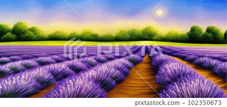 Horizon view lavender valley. Sunny day summer weather. Sunset Meadow Outdoor Horizon view lavender valley. Sunny day summer weather. Sunset Meadow Outdoor 102350673