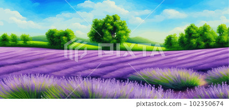 Horizon view lavender valley. Sunny day summer weather. Sunset Meadow Outdoor 102350674