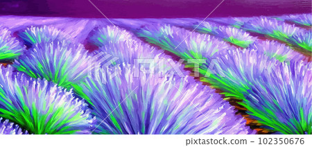 Horizon view lavender valley. Sunny day summer weather. Sunset Meadow Outdoor Horizon view lavender valley. Sunny day summer weather. Sunset Meadow Outdoor 102350676