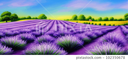 Horizon view lavender valley. Sunny day summer weather. Sunset Meadow Outdoor Horizon view lavender valley. Sunny day summer weather. Sunset Meadow Outdoor 102350678
