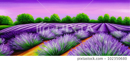 Horizon view lavender valley. Sunny day summer weather. Sunset Meadow Outdoor Horizon view lavender valley. Sunny day summer weather. Sunset Meadow Outdoor 102350680