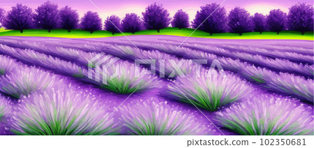 Horizon view lavender valley. Sunny day summer weather. Sunset Meadow Outdoor Horizon view lavender valley. Sunny day summer weather. Sunset Meadow Outdoor 102350681