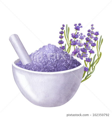 White mortar with lavender sea salt. Bowl and pestle. Aromatherapy, spa, bath. Hand draw watercolor illustration isolated on white background. Art for design 102350792
