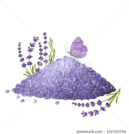 Violet sea salt pile with lavender flowers butterfly . Aromatherapy, spa, bath. Hand draw watercolor illustration isolated on white background. For the design package Violet sea salt pile with lavender flowers butterfly . Aromatherapy, spa, bath. Hand draw watercolor illustration isolated on white background. For the design package 102350794