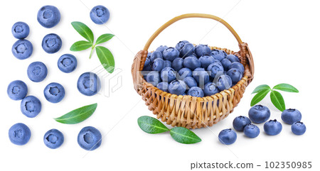 fresh ripe blueberry with leaf isolated on white background with copy space for your text. Top view. Flat lay pattern 102350985