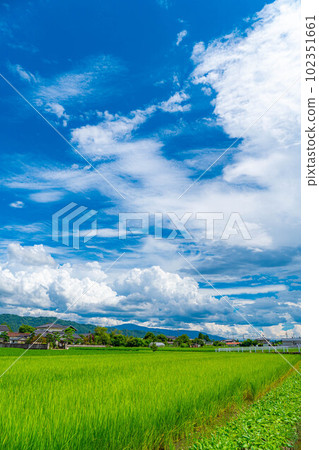 [夏季材料]夏日天空圖像[長野縣] 102351661