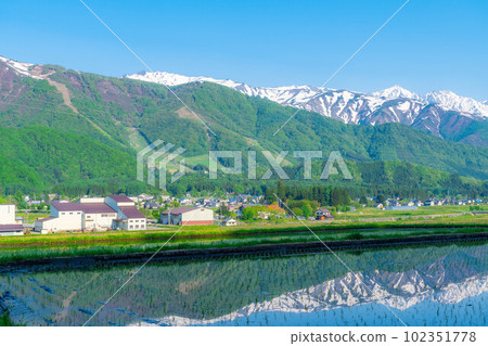 [初夏材料]白馬村和北阿爾卑斯山[長野縣]插秧前的稻田 102351778