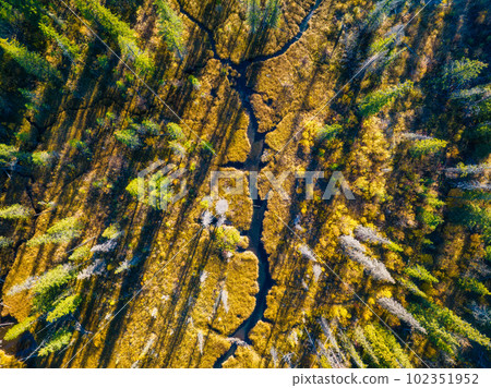 A drone view of the river in the woods. An aerial view of an autumn forest. 102351952