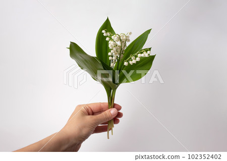 may flowers. bouquet of lily of the valley 102352402