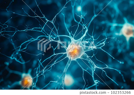 An image of neurons involved in circadian rhythm regulation, such as those in the suprachiasmatic nucleus. Generative AI. 102353266