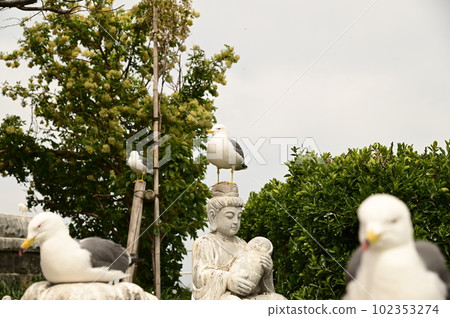 Kabushima Shrine, Japan's Strongest Spot for Fortune Kabushima Shrine, Japan's Strongest Spot for Fortune 102353274