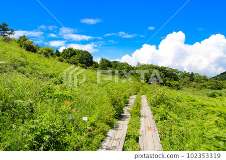 Hachijigahara Marsh Hachijigahara Marsh 102353319