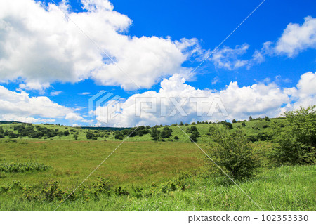 Hachijigahara Marsh 102353330