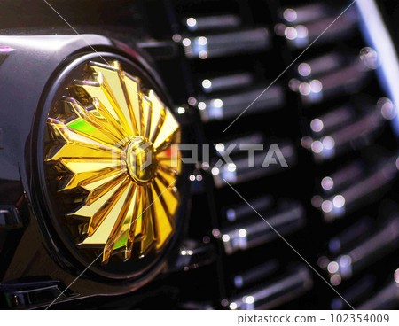 Police car 102354009