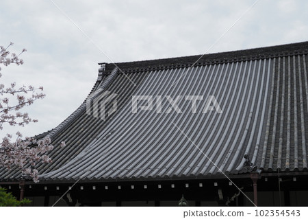 屋頂 房頂 春天 102354543