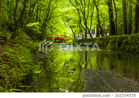 Scenery of Morimachi with beautiful fresh greenery 102354578