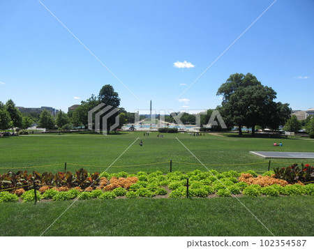 National Mall in Washington DC 102354587