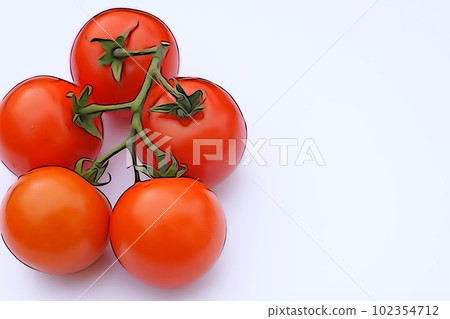Pastel style "mini tomato with branch (fruit tomato)" illustration image Pastel style "mini tomato with branch (fruit tomato)" illustration image 102354712