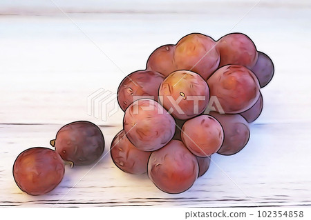 柔和風格“成熟的葡萄（紅球）”插圖圖像 102354858