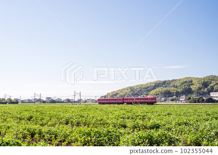 [Gamagori Line] A local train running through the countryside 102355044