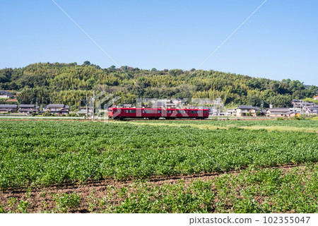 [Gamagori Line] A local train running through the countryside 102355047