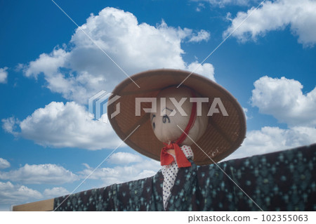 水稻收割後留在稻田裡的稻草人 102355063