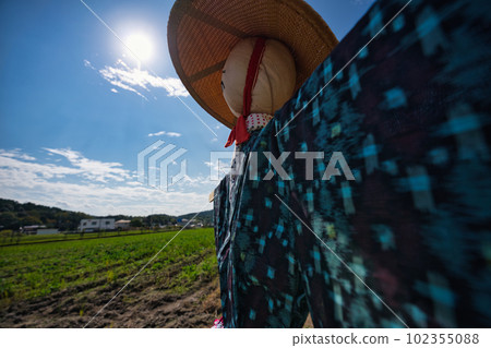 A scarecrow left in a rice paddy after rice harvesting A scarecrow left in a rice paddy after rice harvesting 102355088