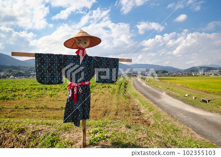 A scarecrow left in a rice paddy after rice harvesting A scarecrow left in a rice paddy after rice harvesting 102355103