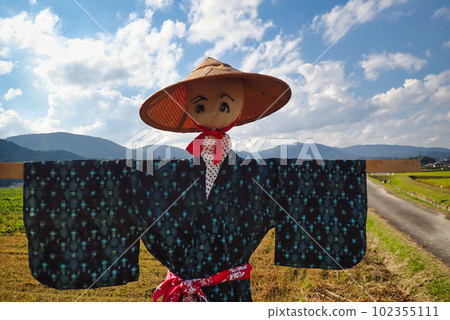 A scarecrow left in a rice paddy after rice harvesting A scarecrow left in a rice paddy after rice harvesting 102355111