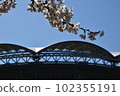 soccer field and cherry blossoms 102355191