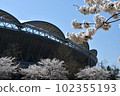 soccer field and cherry blossoms 102355193