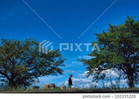 一個男孩在暑假公園捉蟲子 一個男孩在暑假公園捉蟲子 102355220