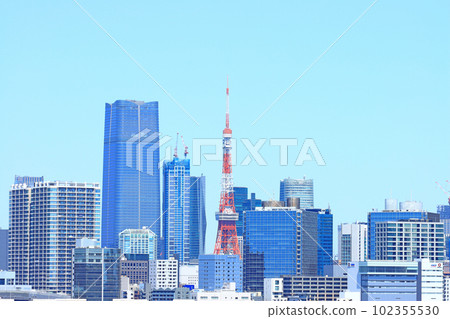Tokyo, Tokyo cityscape and Tokyo Tower landscape Tokyo, Tokyo cityscape and Tokyo Tower landscape 102355530