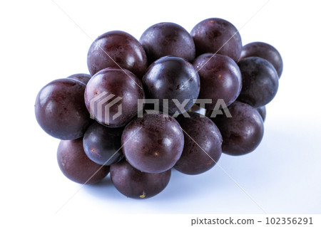 Ripe Grapes Kyoho 102356291