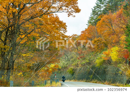 Takayama City, Gifu Prefecture People on motorcycles running along the babbling road in the fall foliage Takayama City, Gifu Prefecture People on motorcycles running along the babbling road in the fall foliage 102356974
