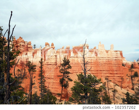 Landscape of Bryce Canyon National Park, Utah, USA, 102357202