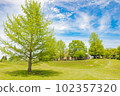 Scenery like in a picture book 102357320