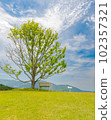 Scenery on the hill 102357321