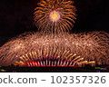 A large flower that spreads out in the sky 102357326