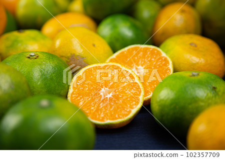 Image photo of Gokuwase mandarin orange Horizontal position Image photo of Gokuwase mandarin orange Horizontal position 102357709