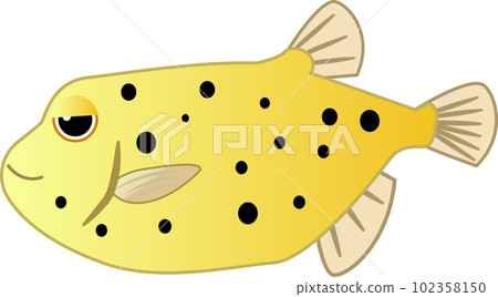 Illustration of a cute boxfish Illustration of a cute boxfish 102358150