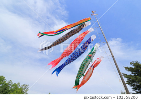 鯉魚飄飄藍天五月 102358200